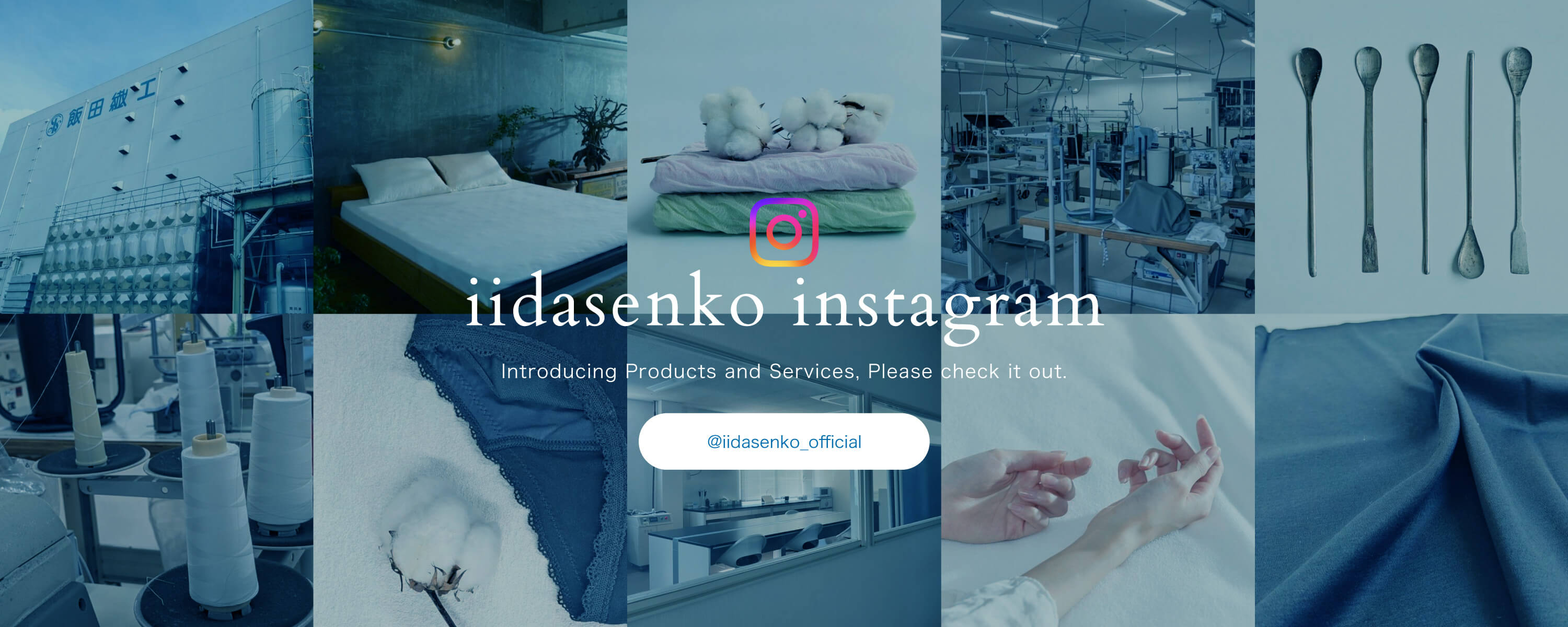iidasenko instagram